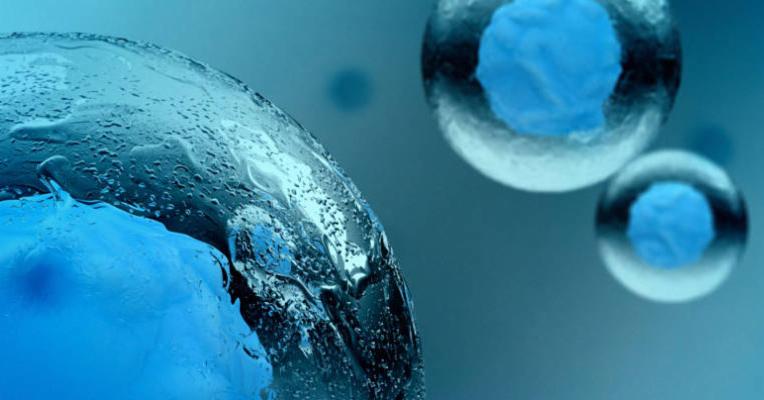 Medicina rigenerativa: obiettivo vita più lunga e migliore